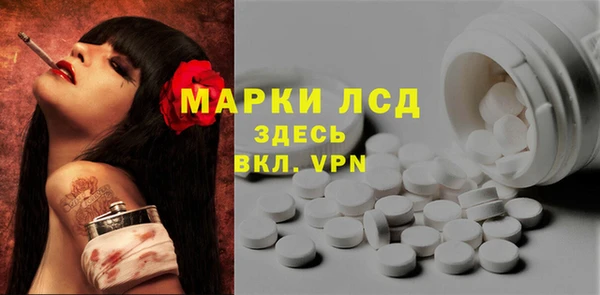 spice Алзамай