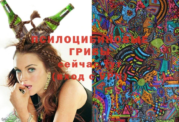 mix Алексин