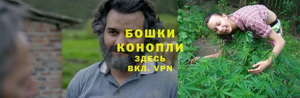 гидра Алексеевка